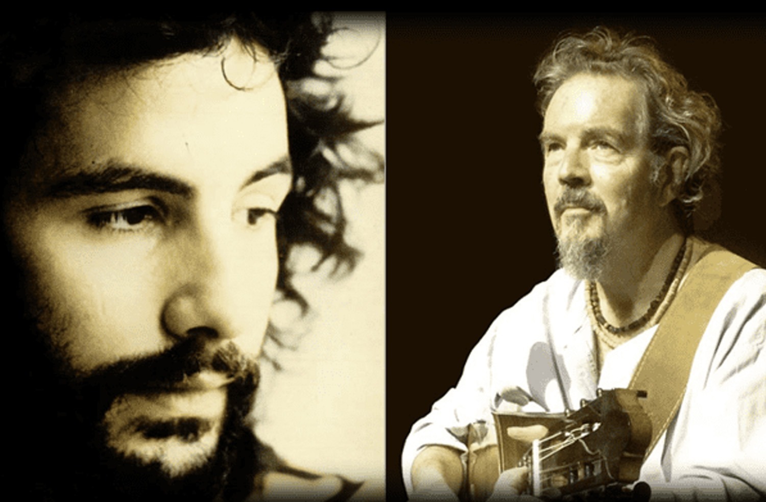 The Music of Cat Stevens