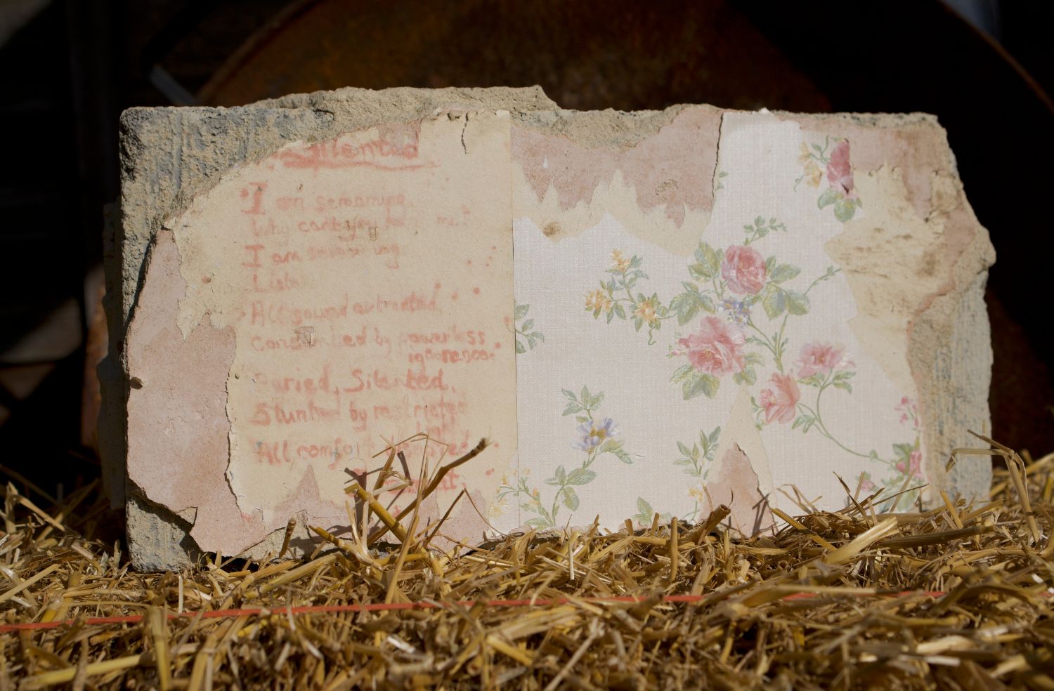 Threshed Memories/Little Pieces of Me